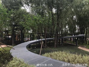 長(zhǎng)春水文化生態(tài)園 預(yù)計(jì)十一前開放