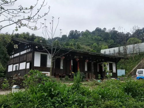 龍臺山生態(tài)園真人CS體驗 生態(tài)與競技的完美融合