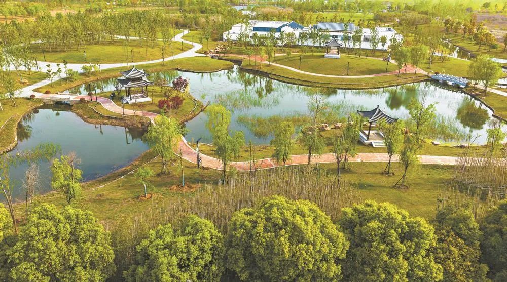 魚(yú)梁洲中央生態(tài)公園 城市綠肺煥新顏，生態(tài)園即將盛大啟幕
