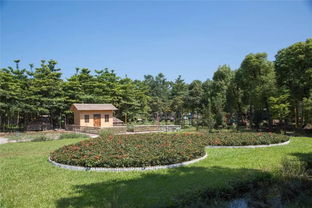 麻涌最美生態園 免費入園，盡享自然饋贈
